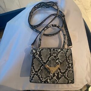 Fashion Nova Snake skin mini purse
